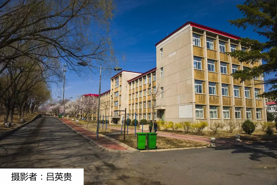 校园风光-沈阳工业大学辽阳分校后勤处